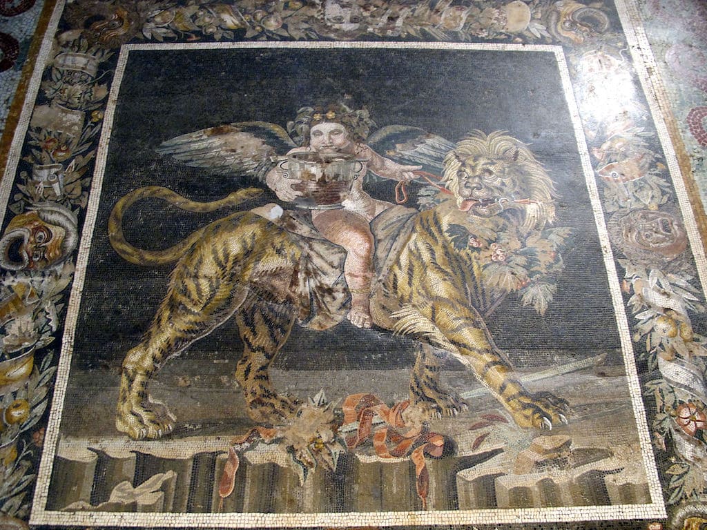Dioniso e la tigre MANN