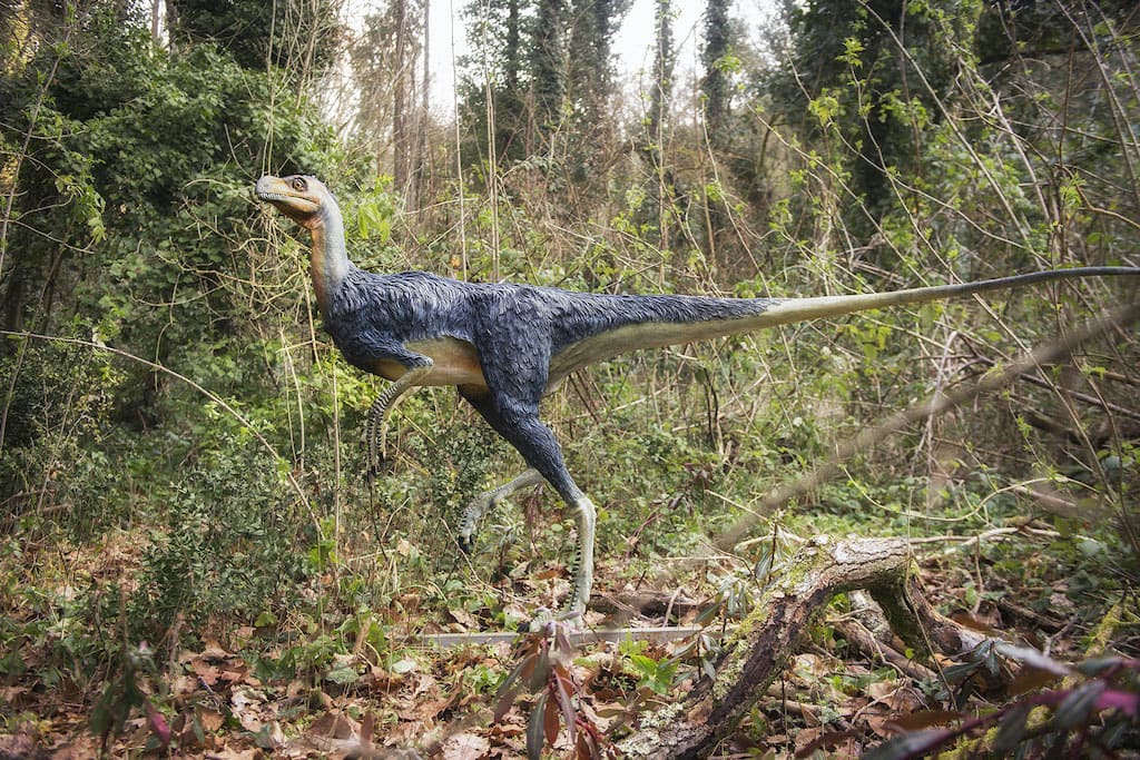 Napoli Dinosauri in carne e ossa 2