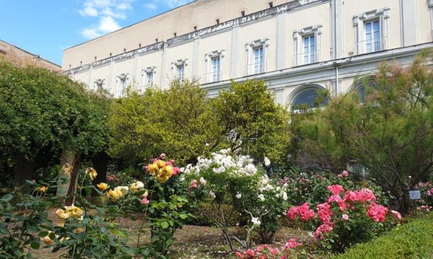Cittadella del Suor Orsola Benincasa, un luogo suggestivo di Napoli