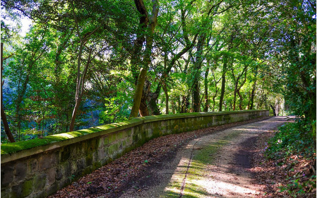 Reggia di Caserta: Visita Guidata dal Bosco di San Silvestro al Torrione