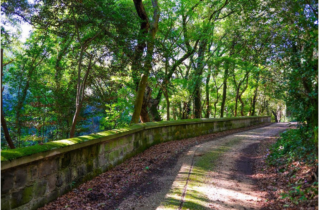 Reggia di Caserta: Visita Guidata dal Bosco di San Silvestro al Torrione