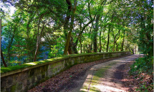 Reggia di Caserta: Visita Guidata dal Bosco di San Silvestro al Torrione