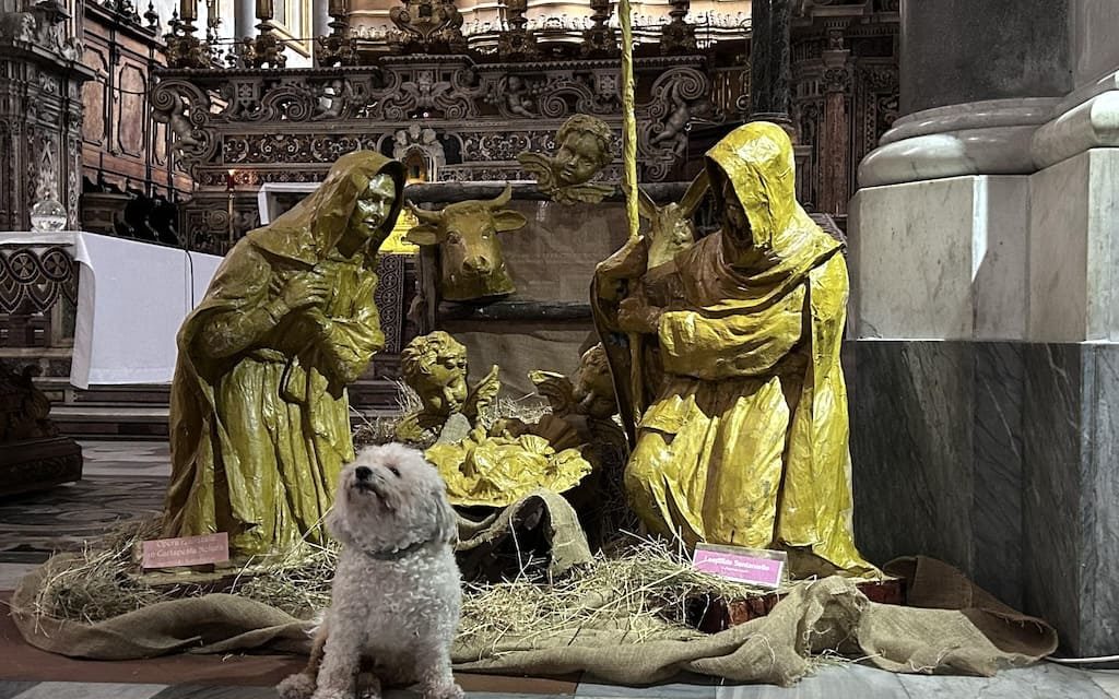 Natività in Cartapesta nolana a San Domenico Maggiore