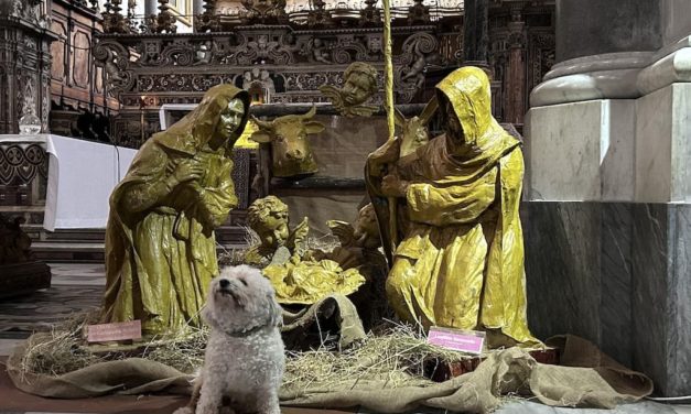 Natività in Cartapesta nolana a San Domenico Maggiore
