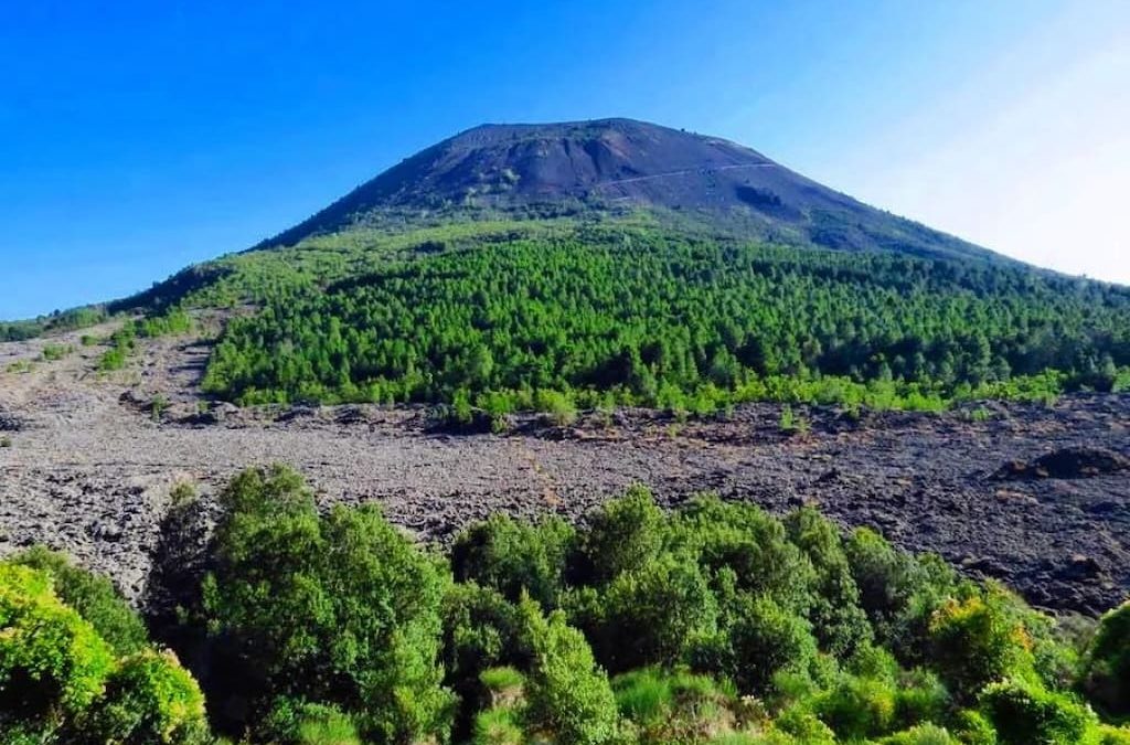 Eco-Escursione sul Vesuvio per Pasquetta 2024