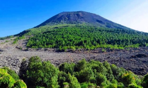 Eco-Escursione sul Vesuvio per Pasquetta 2024