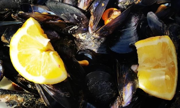 Mytilus Fest, Bacoli celebra la cozza il 25 e 26 maggio